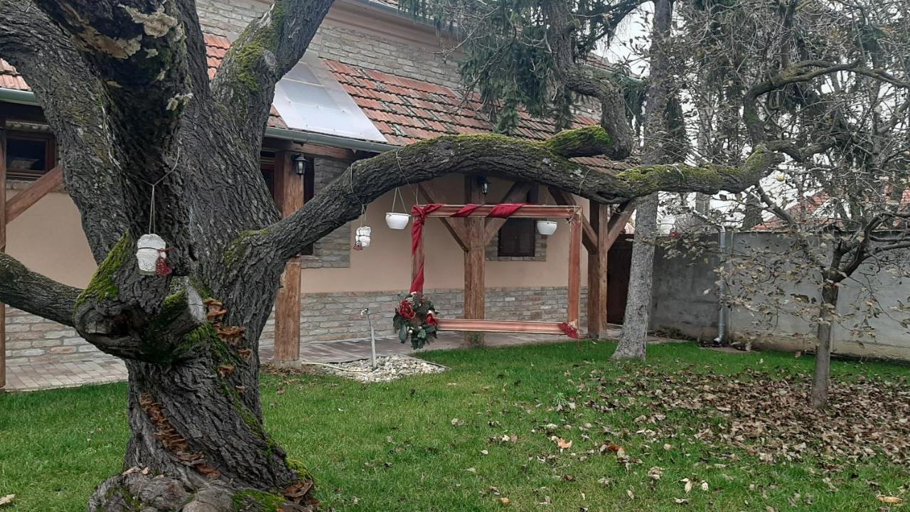 Villa Rusztika Gyula Exterior foto